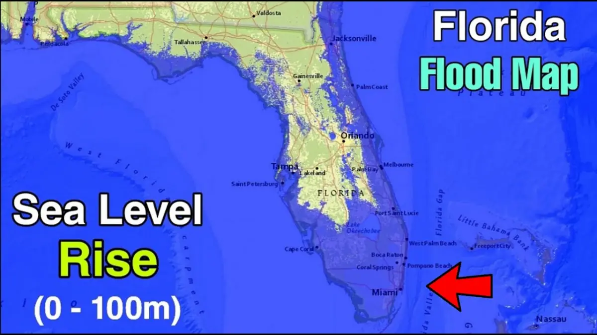 What Will Florida Look Like in 2050