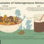 Is Soda a Heterogeneous Mixture?